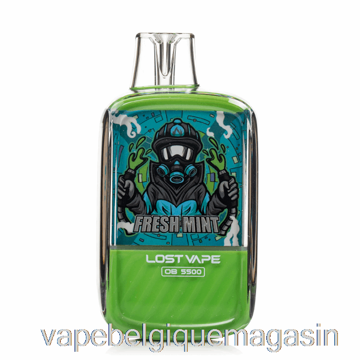 Vape Shop Bruxelles Perdu Vape Ob5500 Jetable Menthe Fraîche